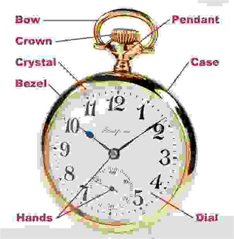 pocket watch parts chart